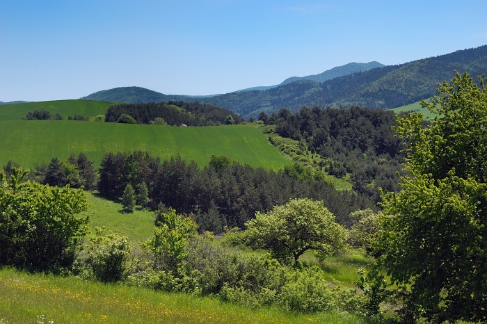 Šariš III.