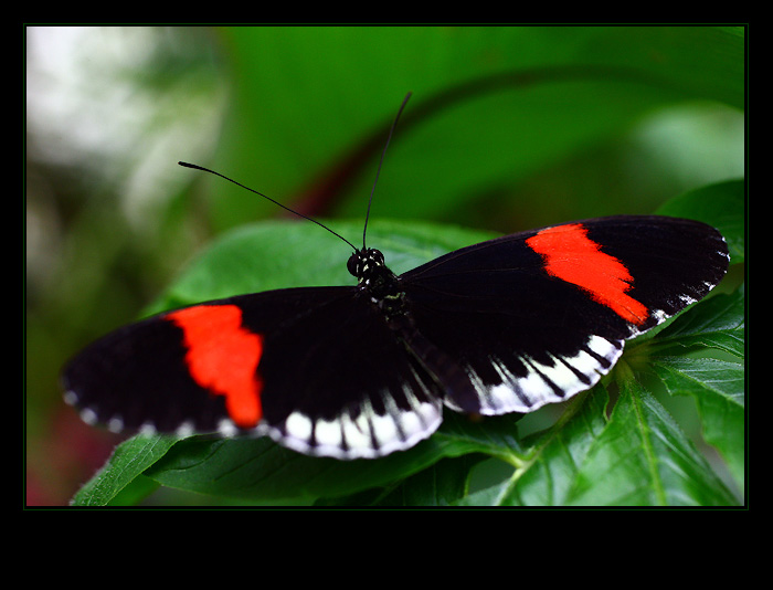 .. Priprava ke startu ..