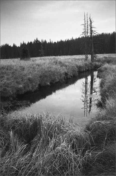 Šumná Šumava...........     U Rybárny