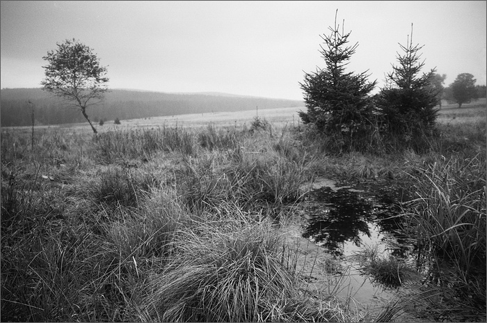 Šumná Šumava...........   Pod Hadím Vrchem