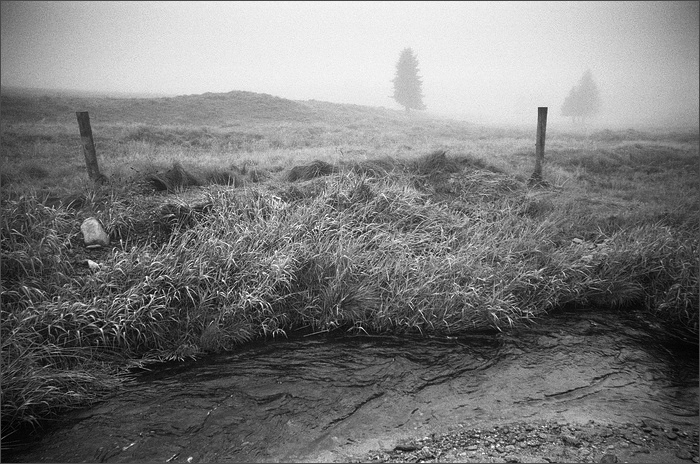 Šumná Šumava...........   Hamerský potok