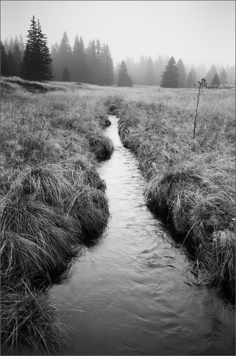 Šumná Šumava....... Nad Horskou Kvildou