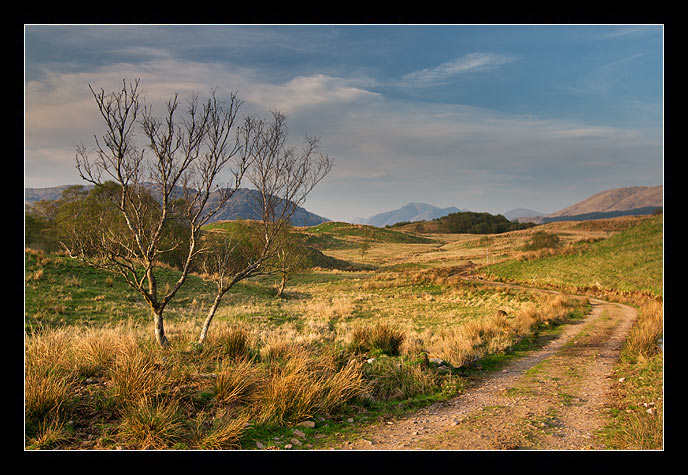 Taynuilt II
