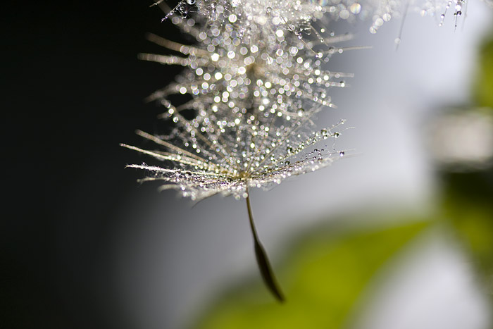 ..Malé drobnosti kolem nás...