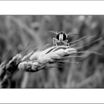 ke startu připravit..