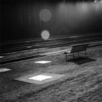 rozblemcanej zubatej kejč