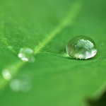 První pokusy s makrem