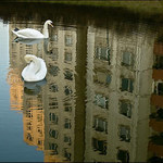 A vraj Králikárne :-)