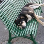 Dejte mi pokoj .... já už dál nejdu ! !!