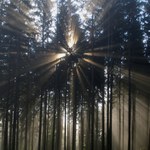 Příslib probouzejícího se dne