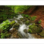 Prírodný kvetináč...