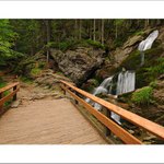 Bayerischer Wald