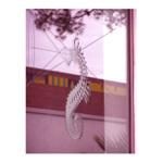 Mořského koníka viděti...