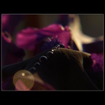 Poslední před usnutím...