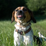 Víš co mi s tím foťákem můžeš...