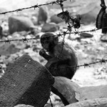 Kde jsem se to narodila...?