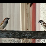 Divadelné predstavenie!