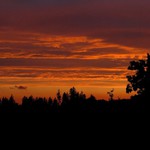 Jednoho letního večera...