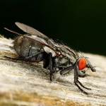 ahoj, chtěla bych být vaše kamarádka ...