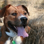 BOBO dobry kamarat:)