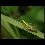 Když se držím, nespadnu...