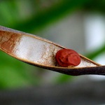 ...koulelo se koulelo...