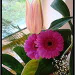 příroda je mocná ...