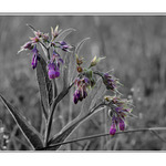 všetko raz zošedne