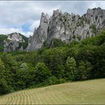 Pod Súľovskými skalami