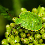 Hlavně nenápadně!