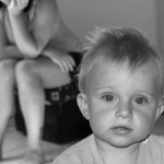 ...vyletí ptáček!