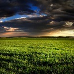 HDR