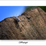 Cliffhanger