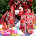 Jízda králů - Vlčnov