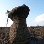 Skalní hřib u Slavného