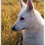 Bianka s Klubíčka II.