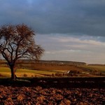 Pohořelice u Otrokovic