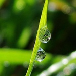 Taky to tady už bylo alespoň 100x