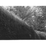 pevnosti na Rýchorách