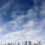 Bolkonskij u Slavkova