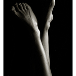 zátíší s květinou