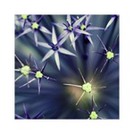 ...soukromý vesmír...