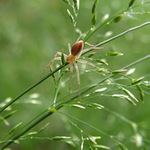 "Jen ať si mě nevšimnou."