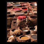 Nepůjdeme radši na pivko?...