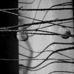 Zlomky - praktická cvičení