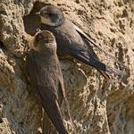 co myslíš - je tam někdo?