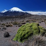 Parinacota II