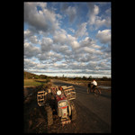 Mezi rýžovými poli