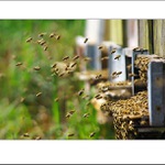 hurá do práce...:)