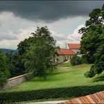 V zahrade bieleho pava